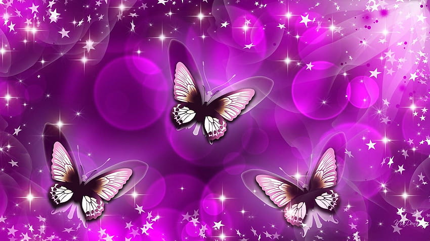 Schmetterling, Arten von Schmetterlingen HD-Hintergrundbild