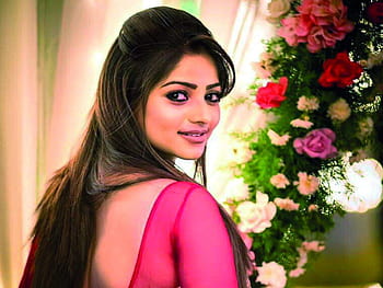 350px x 263px - Rachita Ram clarifies rumours about her personal life. Kannada Movie News -  Times of India HD wallpaper | Pxfuel