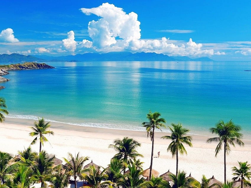 Sea, Beach, Palm, screensaver, family vacation HD wallpaper