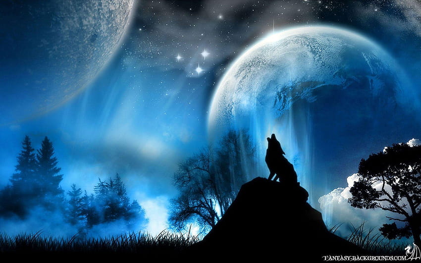 Full Moon Wolf , Backgrounds, wolf blue HD wallpaper
