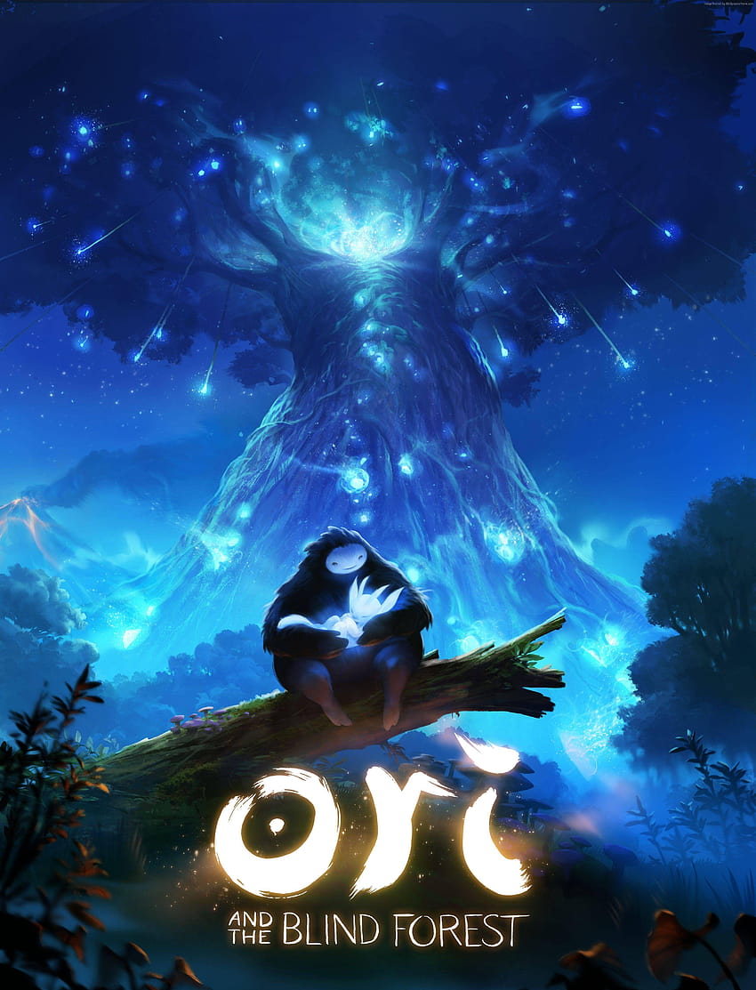 Ori and the Blind Forest , Spiele: Ori and the Blind HD-Handy-Hintergrundbild