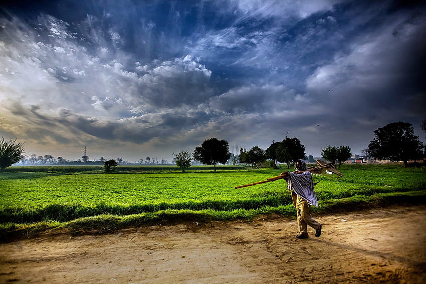 Фермер, индийско земеделие HD тапет