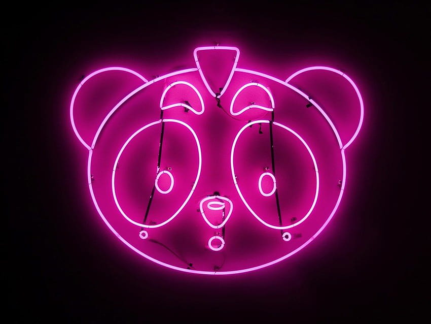 Neon pandas HD wallpaper | Pxfuel