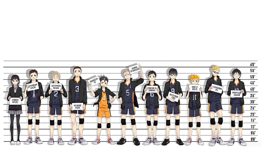 342128 Haikyuu, Anime, Karasuno, Team, Volleyball, Characters HD wallpaper