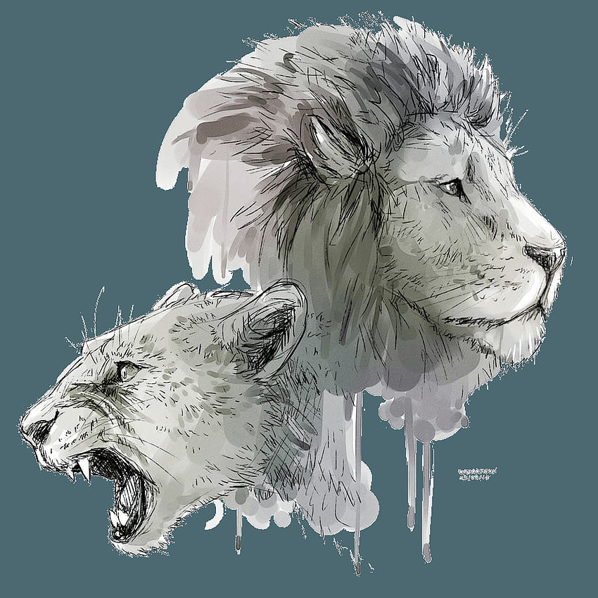 Lion PNG Прозрачен, лъвски фон HD тапет за телефон