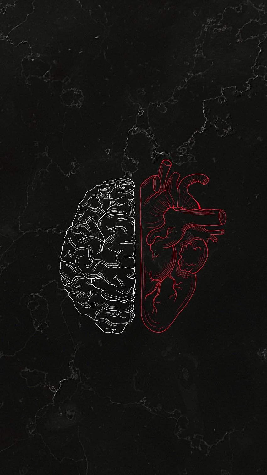 Brain Vs Heart IPhone, medical heart HD phone wallpaper