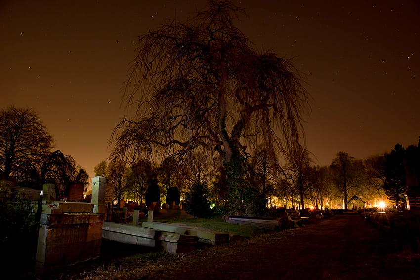 3000804 / cemitério, escuro, cemitério, noite, assustador, taciturno, árvore papel de parede HD