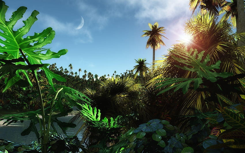 Jungle For Home Hd Wallpaper Pxfuel