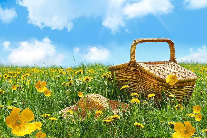 cesta, sombrero, hierba, flores, campo, picnic, verano, paisaje, naturaleza, el cielo con resolución 3504x2337. Cesta de verano de alta calidad. fondo de pantalla