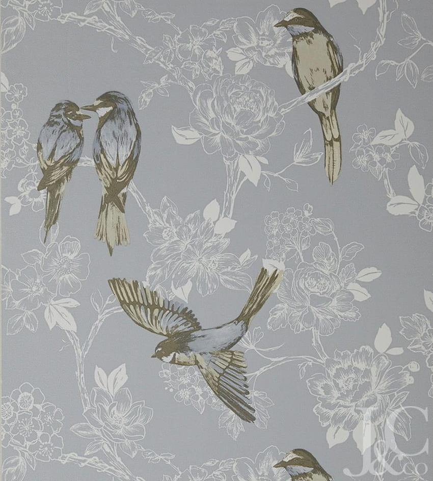 Songbird by Prestigious Textiles, maison HD phone wallpaper