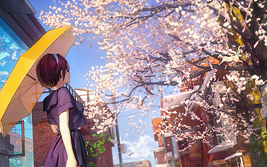 2560x1600 Cherry Blossom, Sakura Petals, Anime School, anime spring Sfondo HD