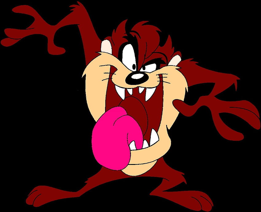 Tasmanischer Teufel Cartoon Png ..., Taz-Manie HD-Hintergrundbild