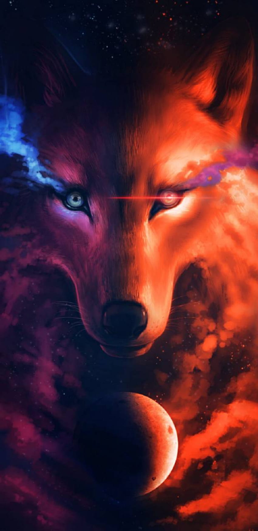 Midnight Wolf HD phone wallpaper | Pxfuel