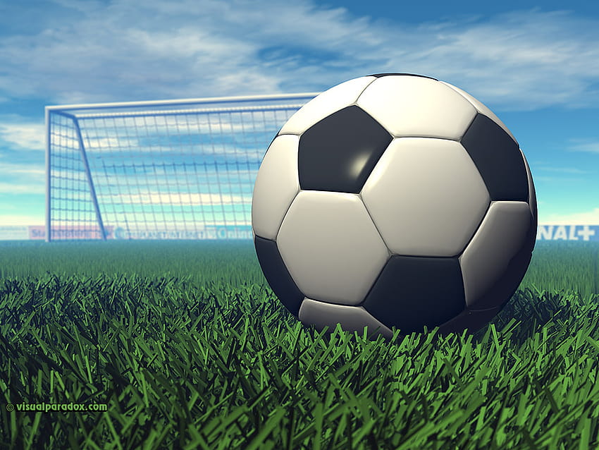 sport football goal grass game ball kick sports 3d [1024x768] for your , Mobile & Tablet, 3d football HD wallpaper