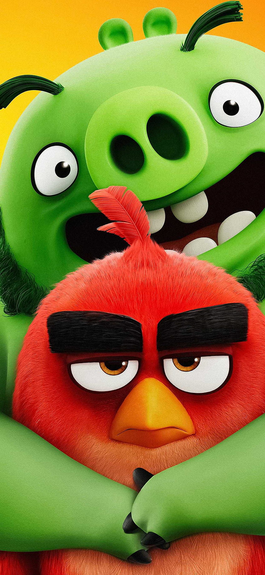 Angry Birds, анимационни птици HD тапет за телефон