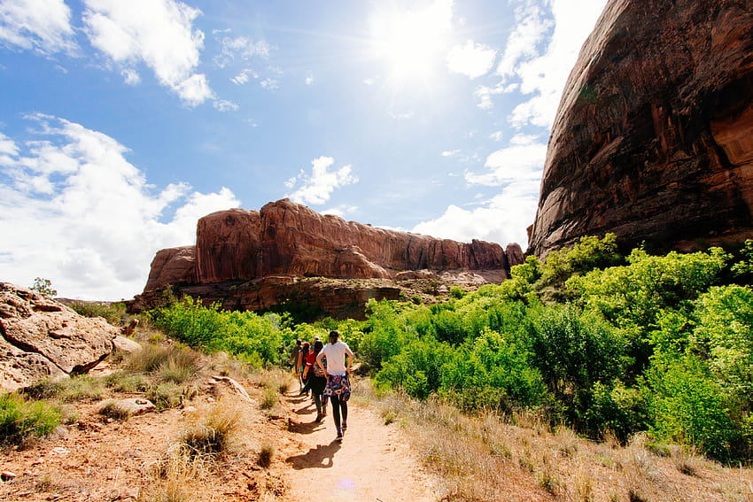 ID: 244062 / hikers walk along a desert path toward a rocky mountain ridge, group adventures, rocky path HD wallpaper