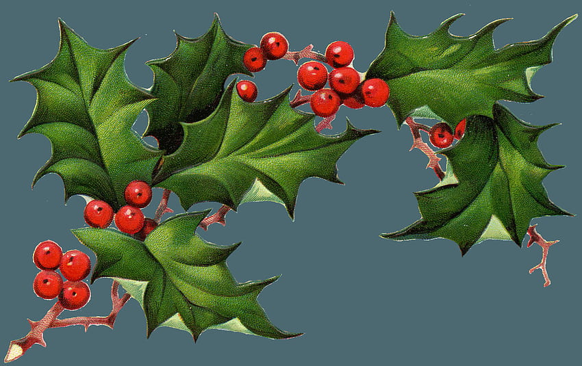 Postkarten und von SVALBARD SPITSBERGEN, Christmas Holly HD-Hintergrundbild