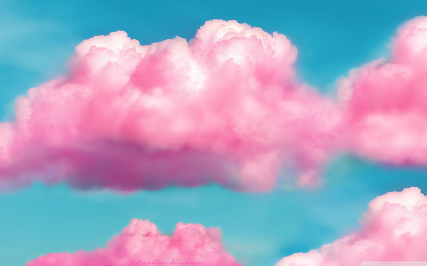 Cotton Candy, pink candy HD wallpaper