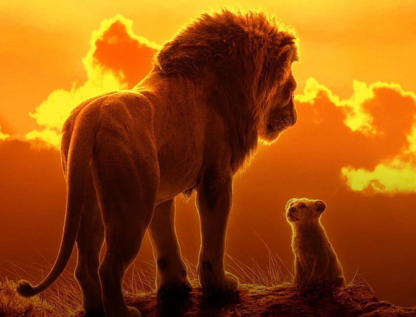 Lion King' 2019 Remake Movie: Voice Cast Behind Simba, Mufasa, mufasa 2019 HD wallpaper