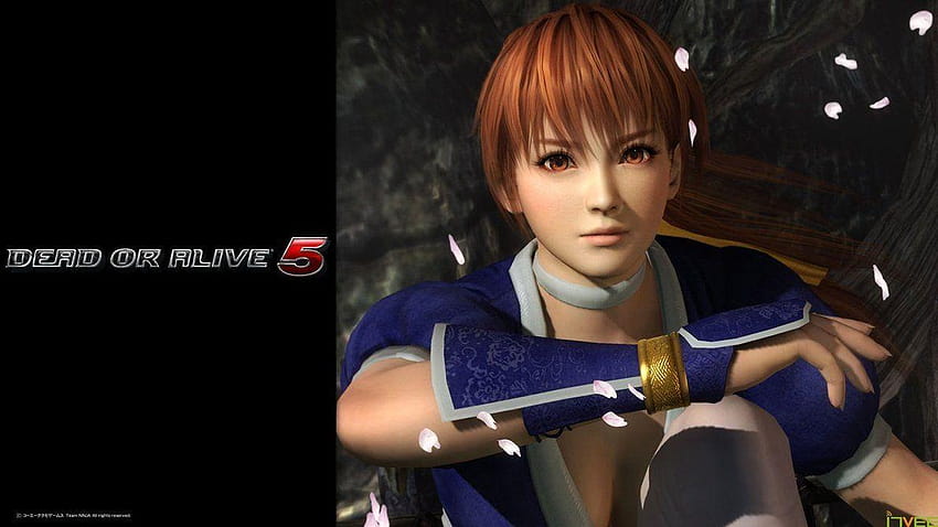 Dead Or Alive 5 Kasumi by LillyGamer, kasumi doa5 HD wallpaper