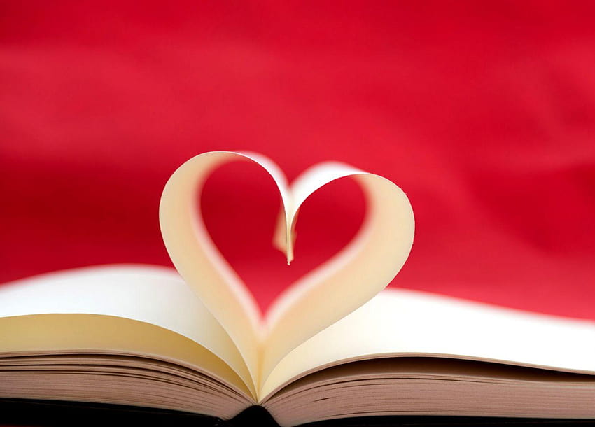 Love Book Valentines Day, valentines teachers HD wallpaper