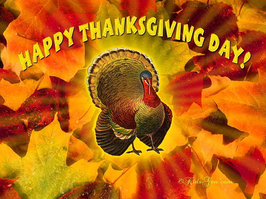 Imágenes para festejar el día de Acción de Gracias en las Redes, dia de accion de gracias HD wallpaper
