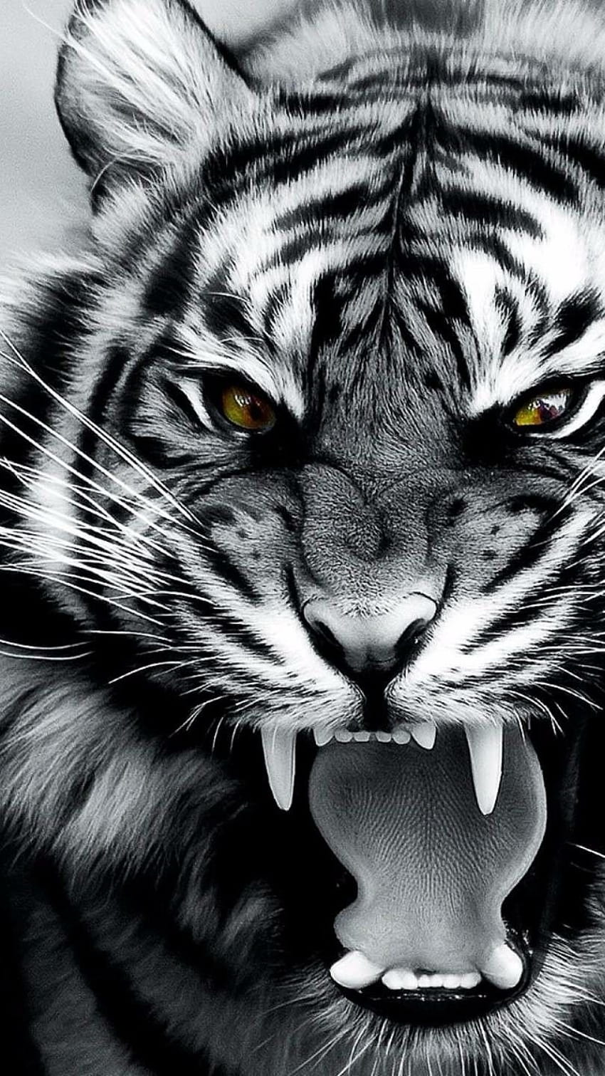 Tigre en colère, tête de tigre iphone japonais Fond d'écran de téléphone HD