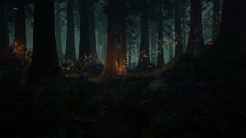 Fantasiewald, amolierter Wald HD-Hintergrundbild