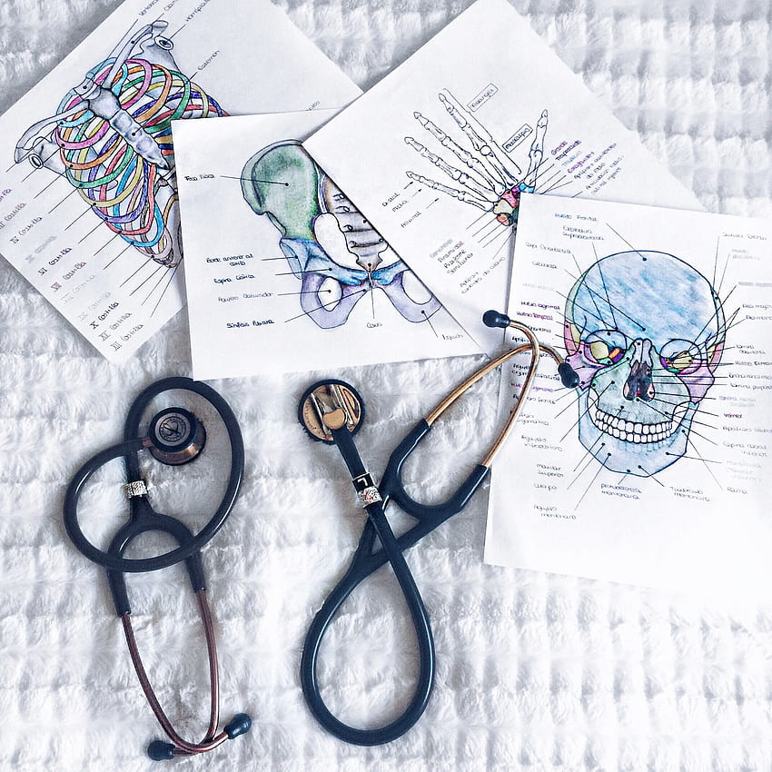 Estudiante de Medicina publicado por Sarah Peltier, estética médica fondo de pantalla del teléfono