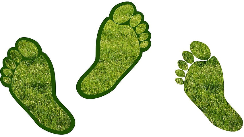 2022 Dünya Sağlık Günü: Karbon ayak izini azaltmak için yaşam tarzında sağlıklı değişiklikler HD duvar kağıdı