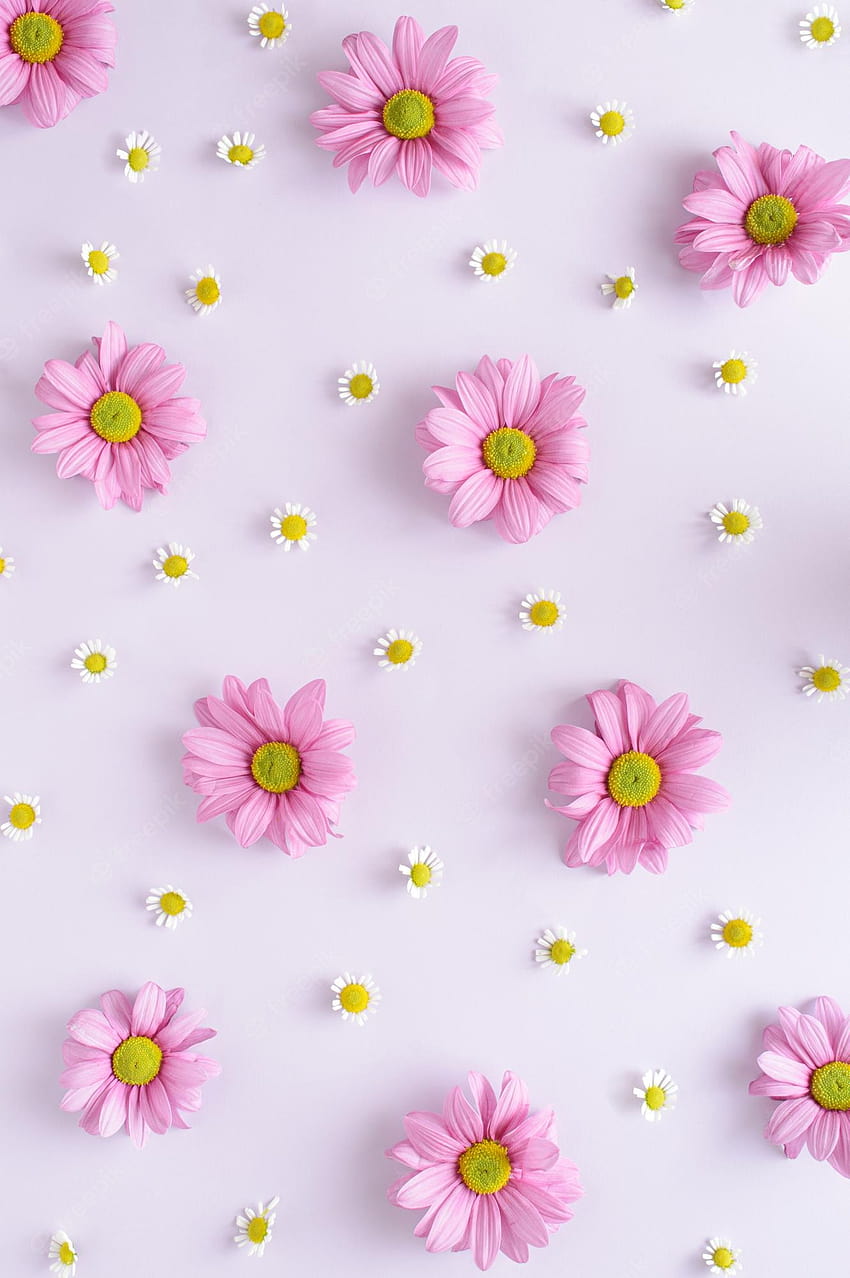 Premium, summer flower aesthetic HD phone wallpaper