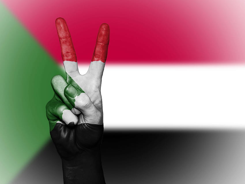 фон, банер, цветове, държава, знаме, флаг, , знаме на Судан HD тапет