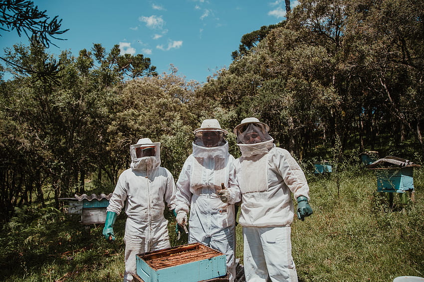 10 най-добри пчеларства · HD тапет