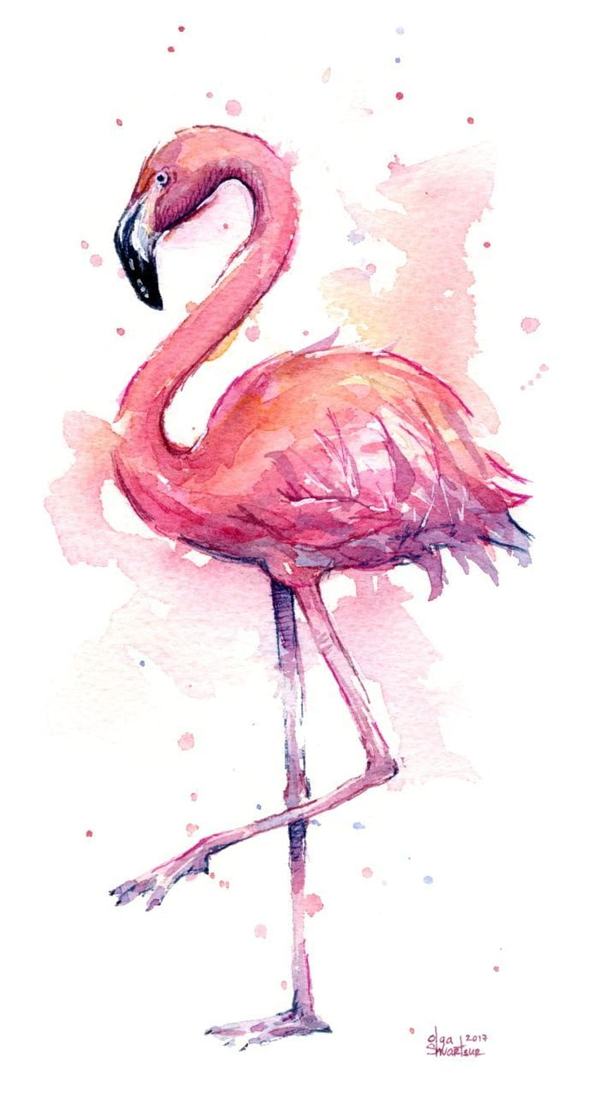 Cute Flamingo HD phone wallpaper