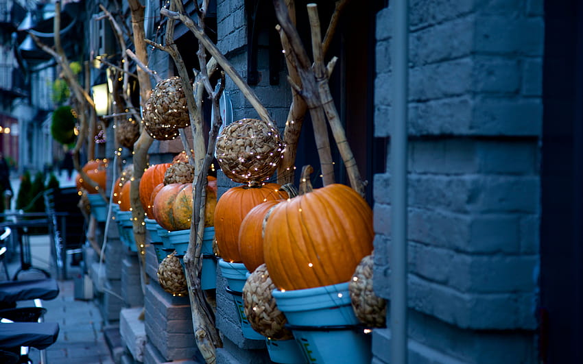 ハロウィン, デコレーション, かぼちゃ, 通り, , バックグラウンド, 525e8b, ハロウィンの小さなかぼちゃ 高画質の壁紙