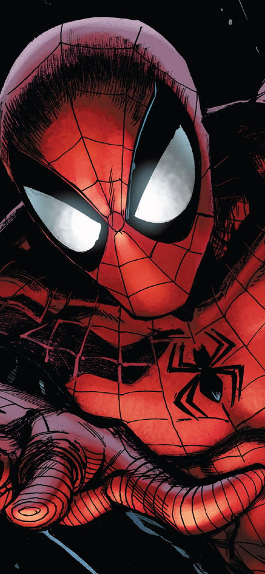 Download Spider  Man Comics Cover Wallpaper  Wallpaperscom
