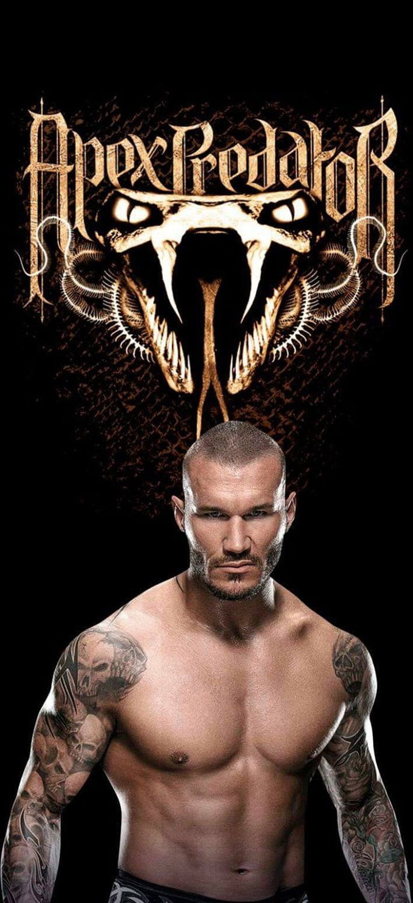 HD wallpaper Randy Orton The Viper Randy Orton poster WWE wwe champion   Wallpaper Flare