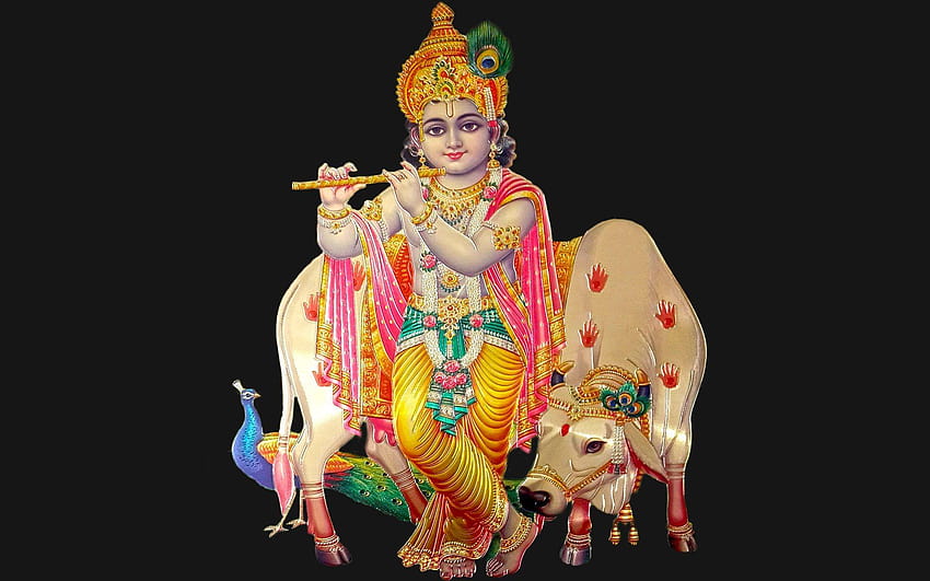 Señor Shree Krishna con vaca, señor Shri Krishna fondo de pantalla