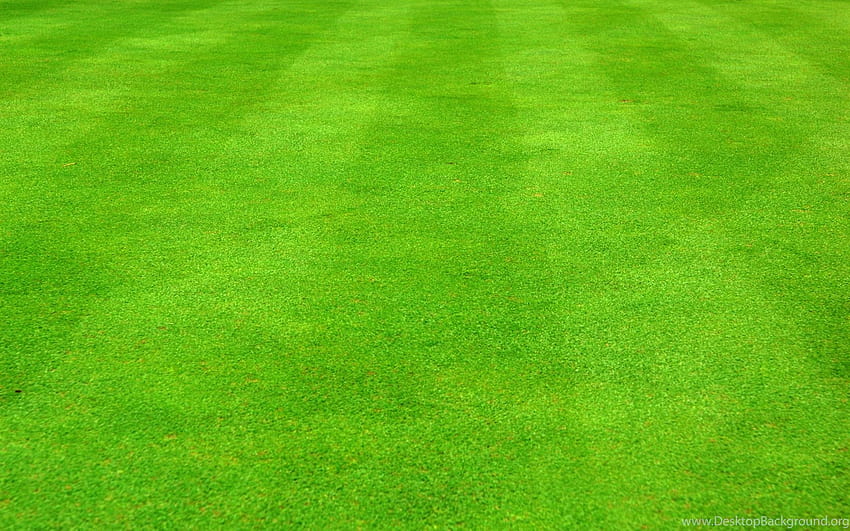 Grass Football Field Backgrounds, football grass HD wallpaper