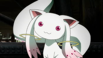 Kyubey HD wallpaper | Pxfuel