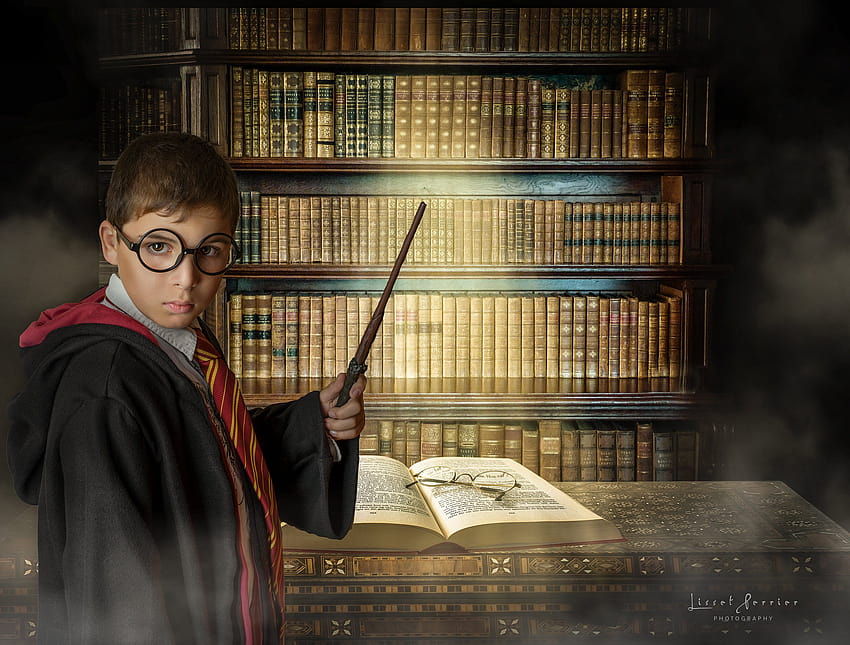 Hogwarts Library Inspired in Harry Potter Library HD wallpaper