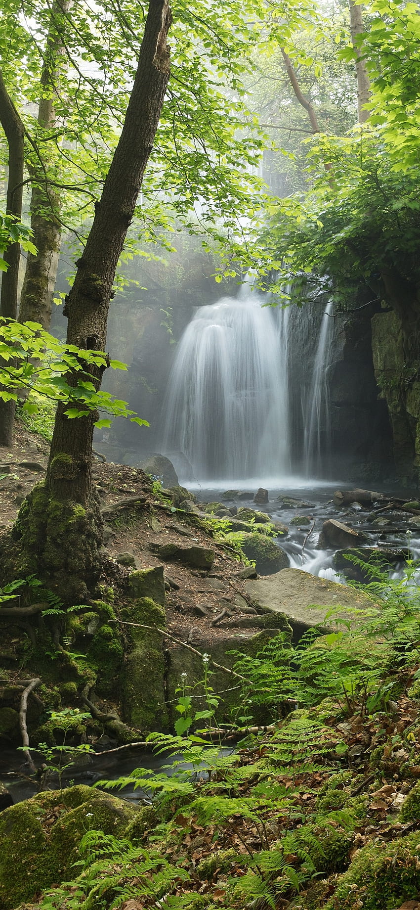 Inghilterra, Derbyshire, Peak District, cascata, foresta 1242x2688 iPhone 11 Pro/XS Max Sfondo del telefono HD