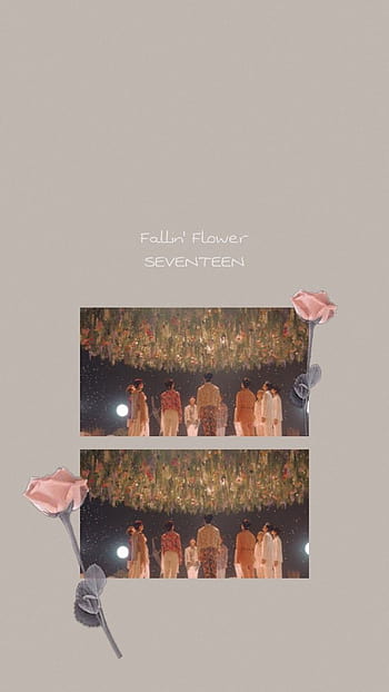 Seventeen 舞い落ちる花び Seventeen Fallin Flower Hd Wallpaper Pxfuel