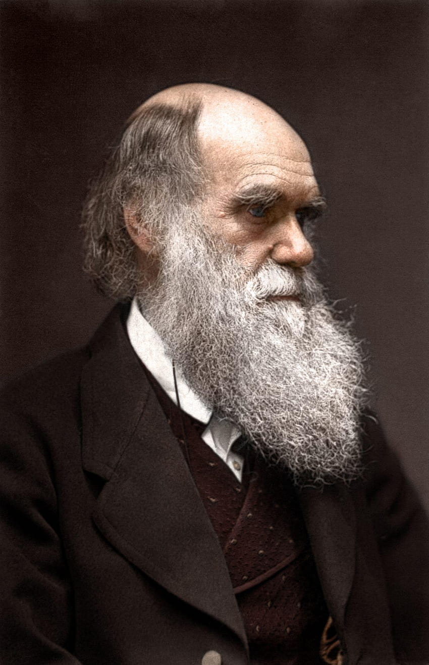 Amplia Charles Darwin fondo de pantalla del teléfono
