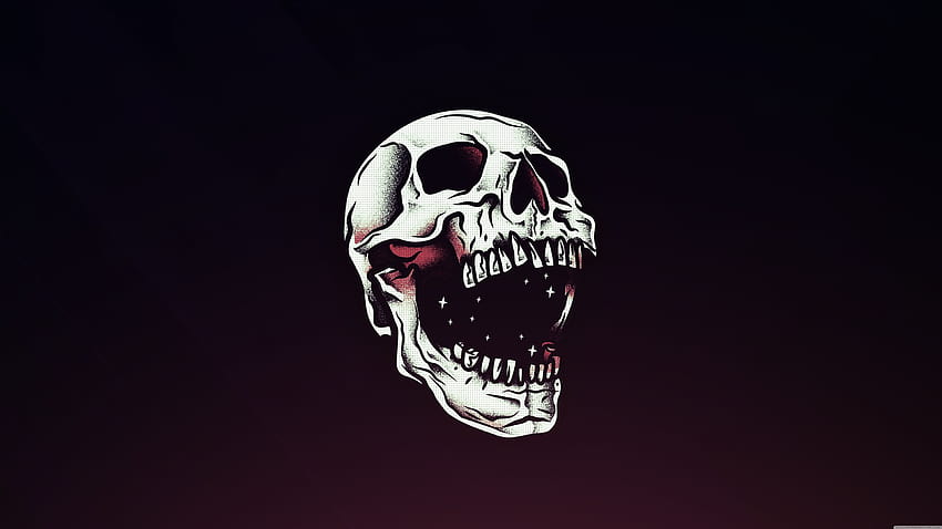 Wide, skeleton head HD wallpaper