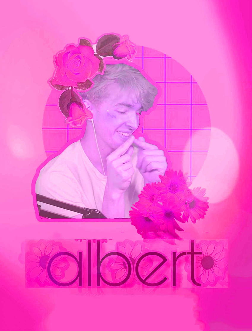 Flamingo Albert, albert aretz HD phone wallpaper