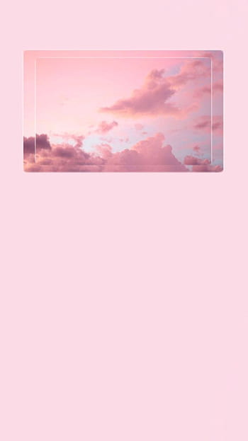 Pastel aesthetic rose on dog HD wallpapers | Pxfuel