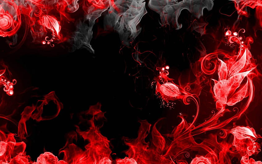 빨간 불 장미 꽃 검은 개요 HD 월페이퍼