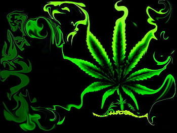 HD wallpaper: green cannabis sativa plant, machine, ganja, hash, hashish,  green Color | Wallpaper Flare