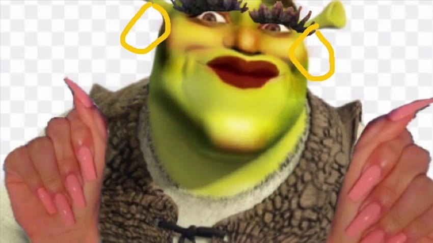 Shrek cattivo Sfondo HD